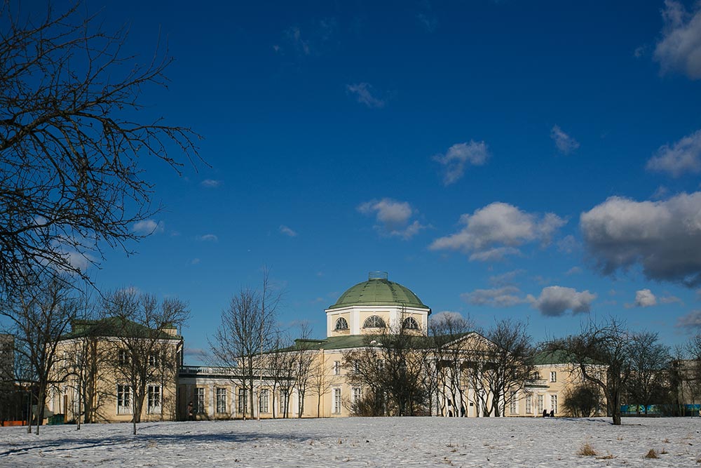 Художественная школа Александрино